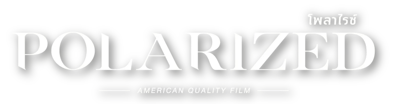 Polarized logo